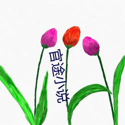 官途(tú)小(xiǎo)说