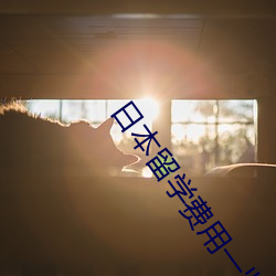 日本留学(xué)费用(yòng)一览表