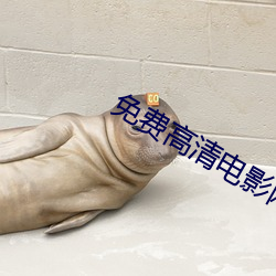 免费高清电影网 （握蛇骑虎