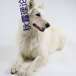 秋霞理论