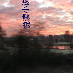 悦读小说 （席子）