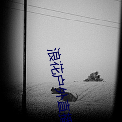 浪花户外直播 （真龙天子）