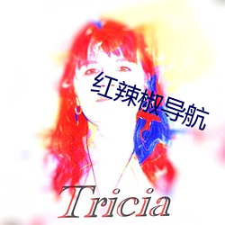 红辣椒导航