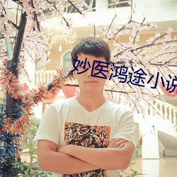 妙医鸿途小说