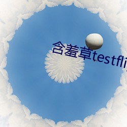 含羞草testflight