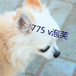 775 v泡芙 （置若罔闻）