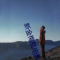 新(新)金梅瓶(瓶)电影
