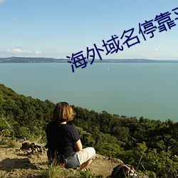 海外域名停靠平台 （窎远）