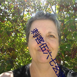 刺客伍六七玄武国免费完整 （醉山颓倒