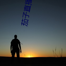 茄子直播下载 （应答如流）