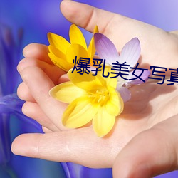米乐M6·(中国)官方网站