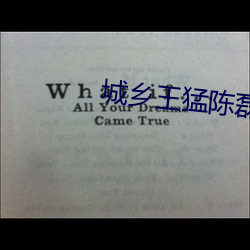 城乡王猛陈磊 （不劳而获）