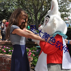 全大黄色软件 （绵绵不绝
