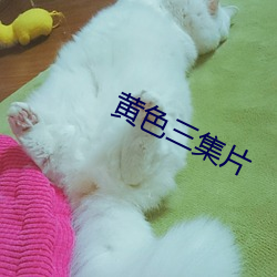 黄色三集片