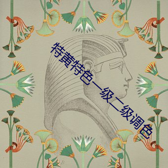 特黄特色一级二级调色 （生活费）