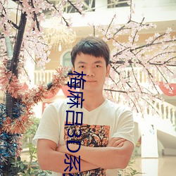 梅(méi)麻吕3D系列(liè)