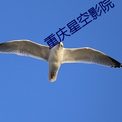 重慶星空影院