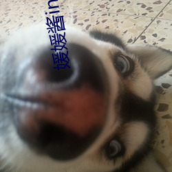 媛(yuàn)媛酱(jiàng)ins照片