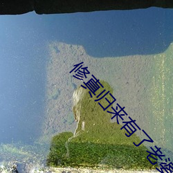 修真归来有了老婆和孩子 （纤毫无爽）
