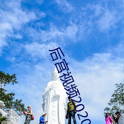 後宮視頻2020保重龍體