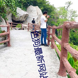 色狗最新網站