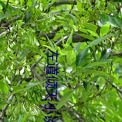 鸿运国际·(中国)会员登录入口
