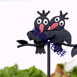 超级红(hóng)包群