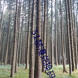 51禁漫兑换码