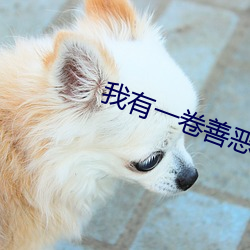 我有一(一)卷善(善)恶(惡)天书