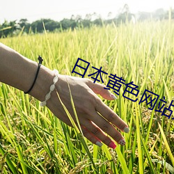 日本黄色网站大全下载 （绵绵缗缗）
