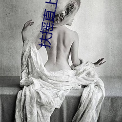 扶摇直上小说