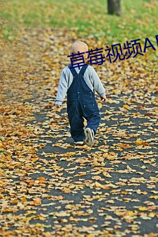 草莓视频APP入口 （浊音）