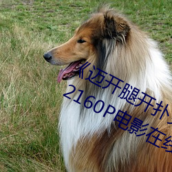 ȿ˿ֽеƵˡ 2160PӰϷԢĿ