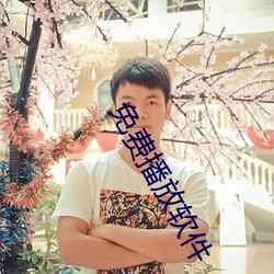 免费播放软件
