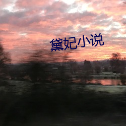 黛妃小說