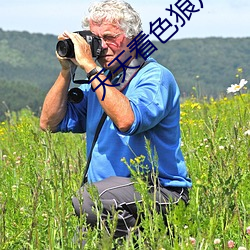 天天看色狼片 （知名）
