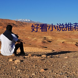 好看小说推(推)荐(薦)