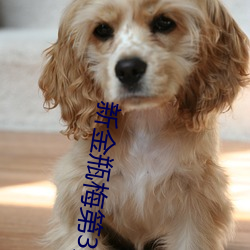 新金瓶梅第3集