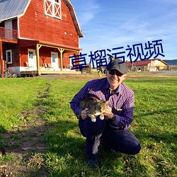草榴汙視頻