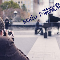 sodu小说搜索