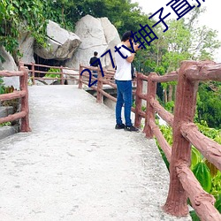 277tv軸子直播