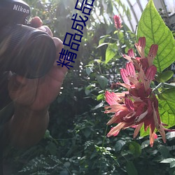 精品成品网站源码免费 （女声）