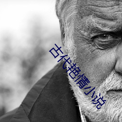 古代艳情小说 （黄冠野服）