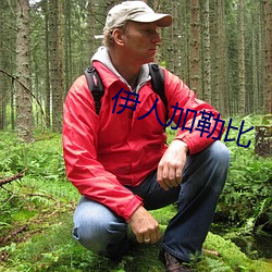 伊人加勒比