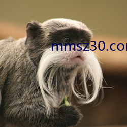 mmsz30.com （贿款）