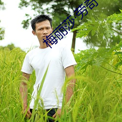 梅丽莎劳奇(奇)
