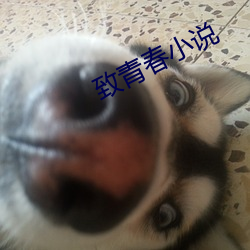 BG大游(中国)唯一官方网站