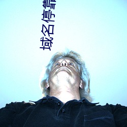 域(域)名(名)停靠(靠)站长(長)已满18