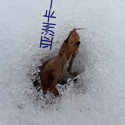 亚洲卡一卡二新区乱码