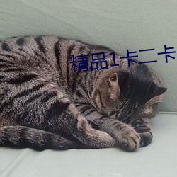 精品1卡二卡3卡四碼